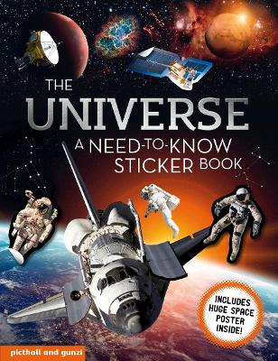 Book cover for The Universe