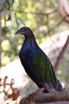 Book cover for Nicobar Pigeon Journal