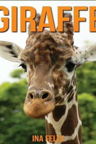 Cover of Giraffe