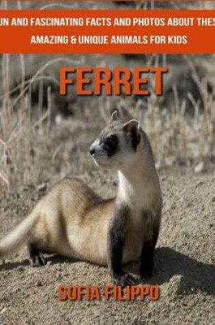 Cover of Ferret