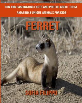 Book cover for Ferret