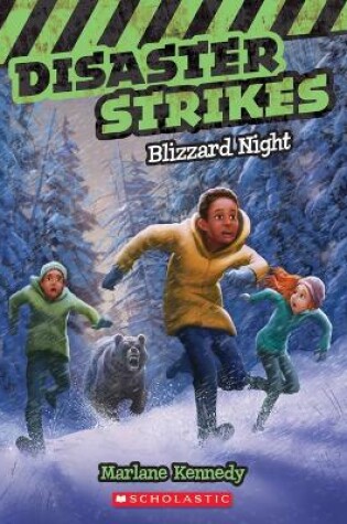Cover of Blizzard Night