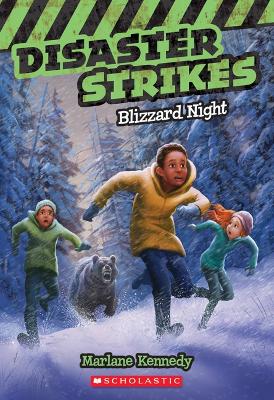 Cover of Blizzard Night