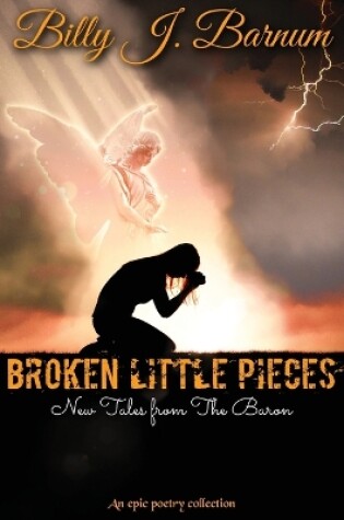 Cover of Broken Little Pieces New Tales from The Baron