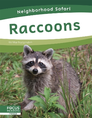 Cover of Raccoons