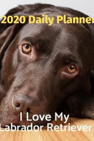 Cover of I Love My Labrador Retriever