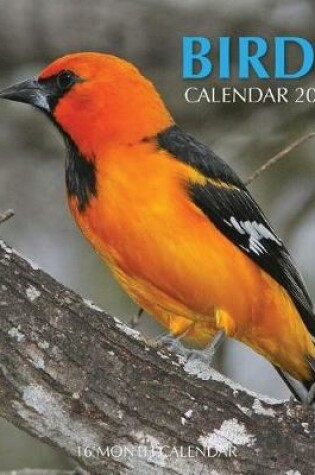 Cover of Birds Calendar 2017