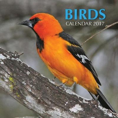 Book cover for Birds Calendar 2017