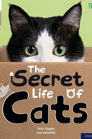 Cover of Oxford Reading Tree Word Sparks: Level 1: The Secret Life of Cats