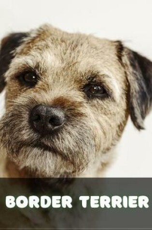 Cover of Border Terrier