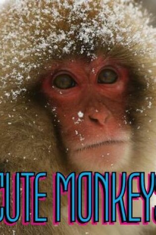 Cover of Cute Monkeys