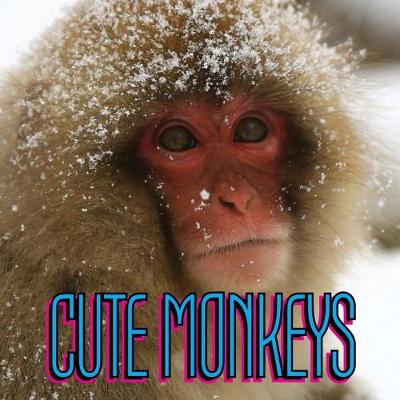 Book cover for Cute Monkeys