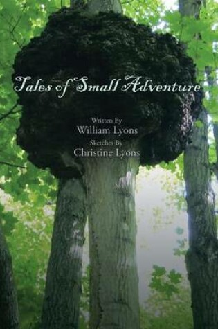 Cover of Tales of Small Adventure