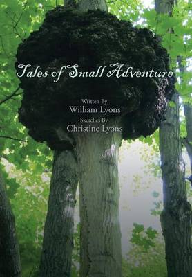 Book cover for Tales of Small Adventure