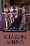 Book cover for Echo in Amethyst