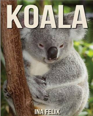 Book cover for Koala