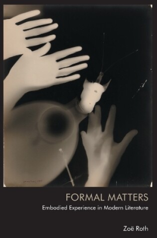 Cover of Formal Matters