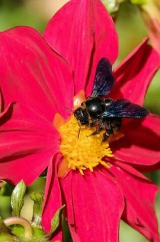 Cover of A Carpenter Bee on a Flower, for the Love of Nature