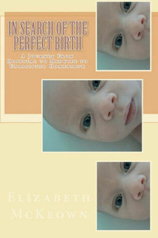 Cover of In Search of the Perfect Birth