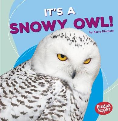 Book cover for It's a Snowy Owl!