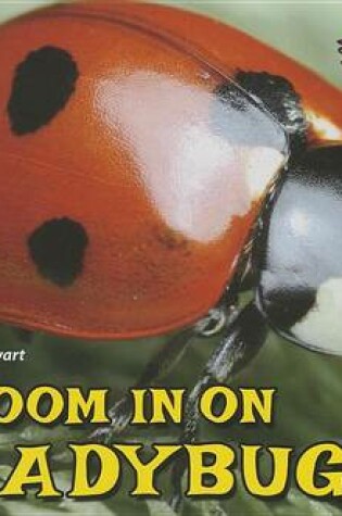 Cover of Zoom in on Ladybugs