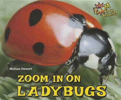 Book cover for Zoom in on Ladybugs