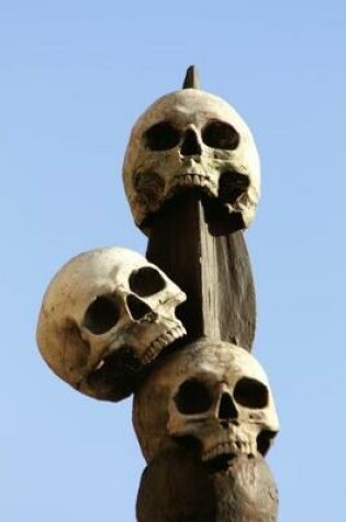 Cover of Human Skulls on a Spike Journal