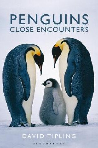 Cover of Penguins