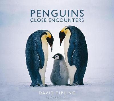 Book cover for Penguins