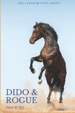 Cover of Dido and Rogue