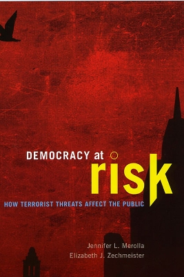 Cover of Democracy at Risk