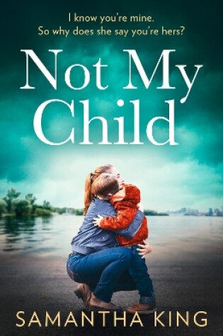 Cover of Not My Child