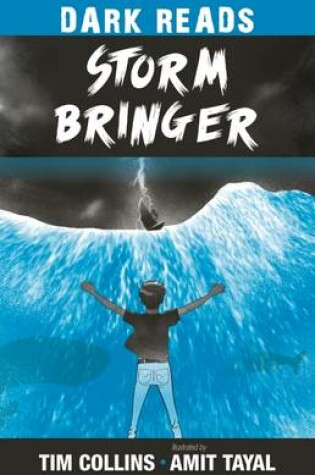 Cover of Storm Bringer