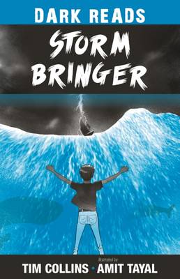 Book cover for Storm Bringer