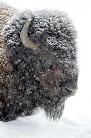 Cover of A Bison in Winter Portrait Journal