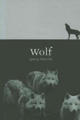 Cover of Wolf