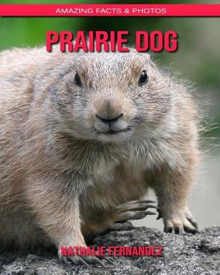 Book cover for Prairie Dog