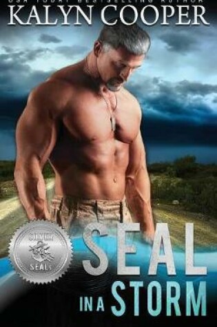 Cover of SEAL in a Storm