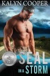 Book cover for SEAL in a Storm