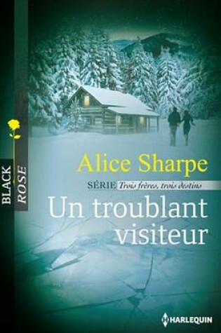 Cover of Un Troublant Visiteur