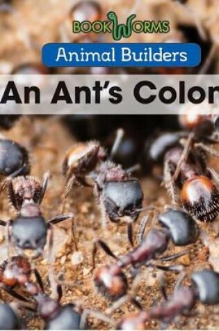 Cover of An Ant's Colony