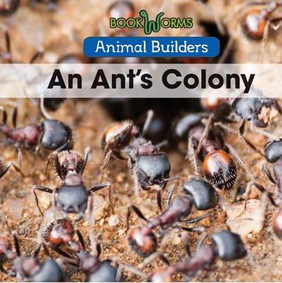 Cover of An Ant's Colony