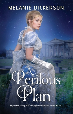 Book cover for A Perilous Plan