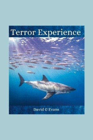 Cover of Terror Experience