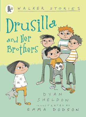 Book cover for Drusilla and Her Brothers