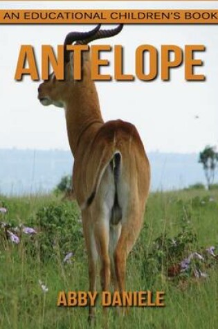 Cover of Antelope! An Educational Children's Book about Antelope with Fun Facts & Photos