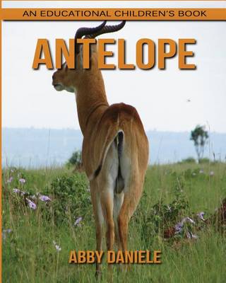 Book cover for Antelope! An Educational Children's Book about Antelope with Fun Facts & Photos