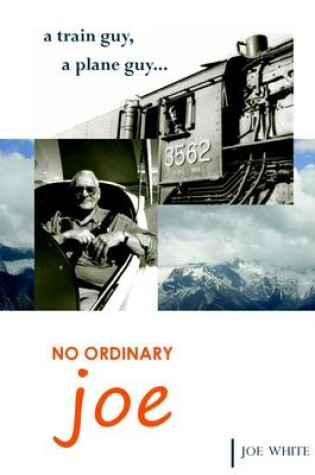 Cover of No Ordinary Joe