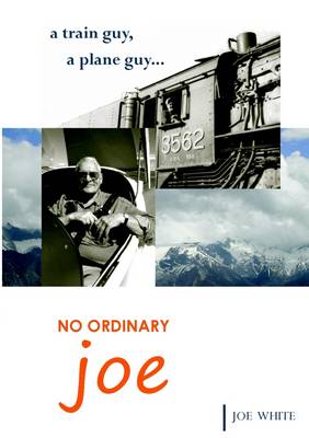 Book cover for No Ordinary Joe