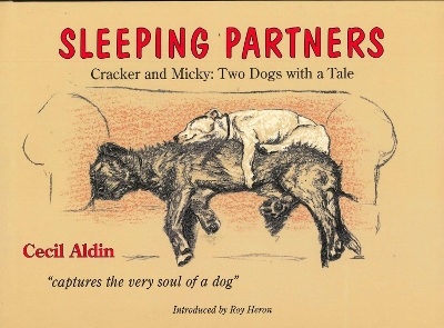 Book cover for Sleeping Partners